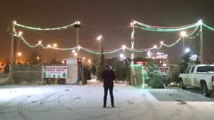 The Christmas Tree Guy