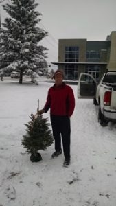 Mini Xmas tree